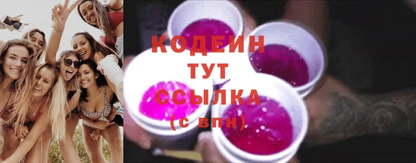 дживик Гусь-Хрустальный