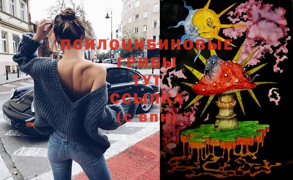 крисы Тайга