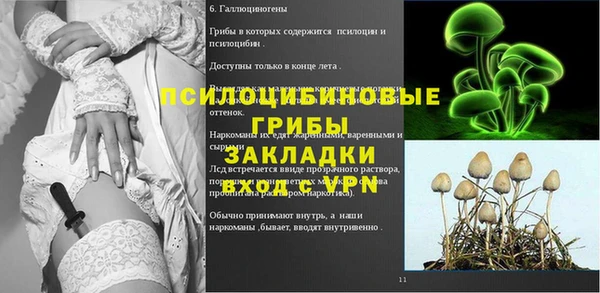 скорость Горнозаводск